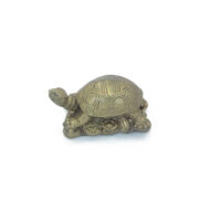 Bronze Tortoise