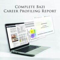 Complete Bazi Career Profiling Report