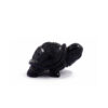 Blue Goldstone Tortoise - Image 2
