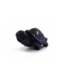 Blue Goldstone Tortoise